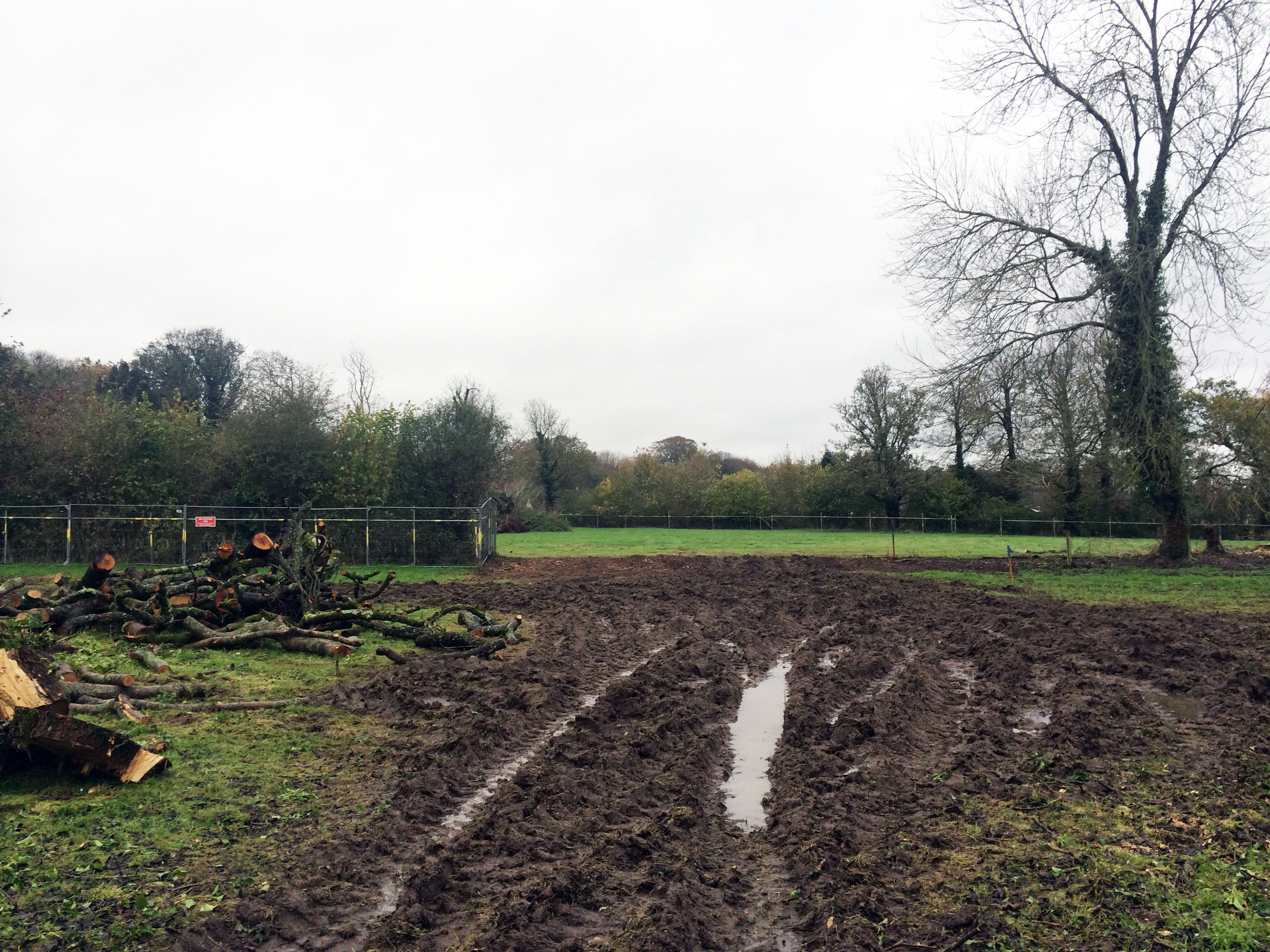waterlogged-greenland-field