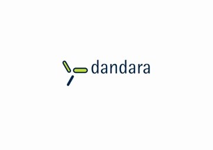 Dandara logo2.JPG